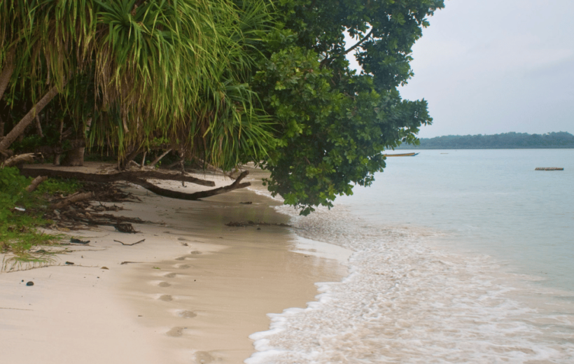 Havelock Island