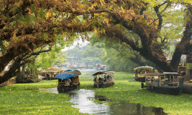 Alleppey, Kerala