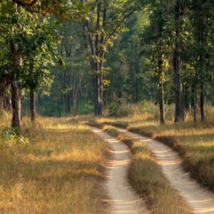 Kanha National Park