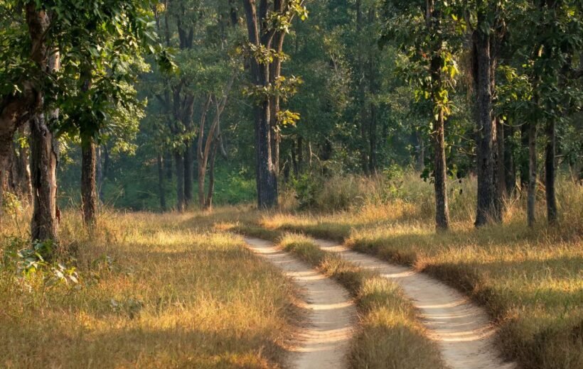 Kanha National Park