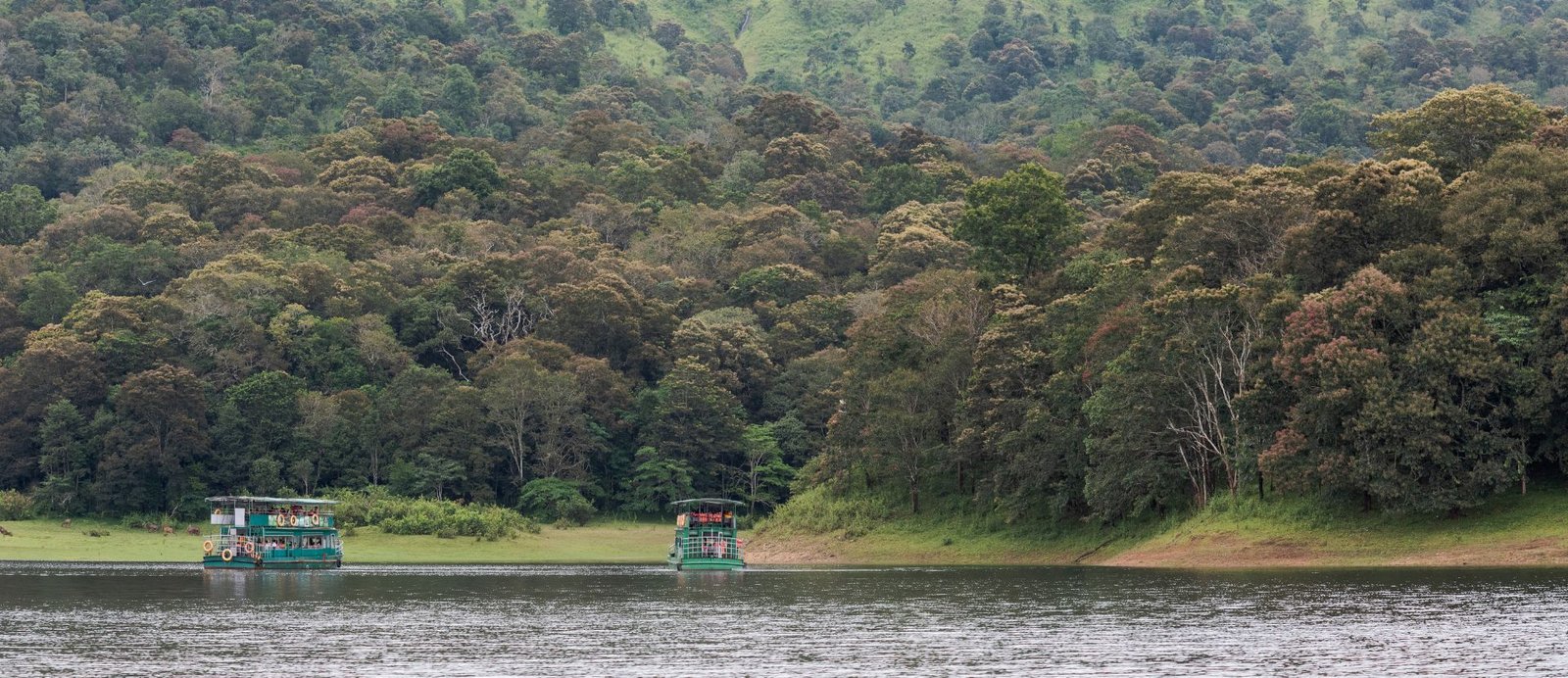 Periyar National Park Kerala