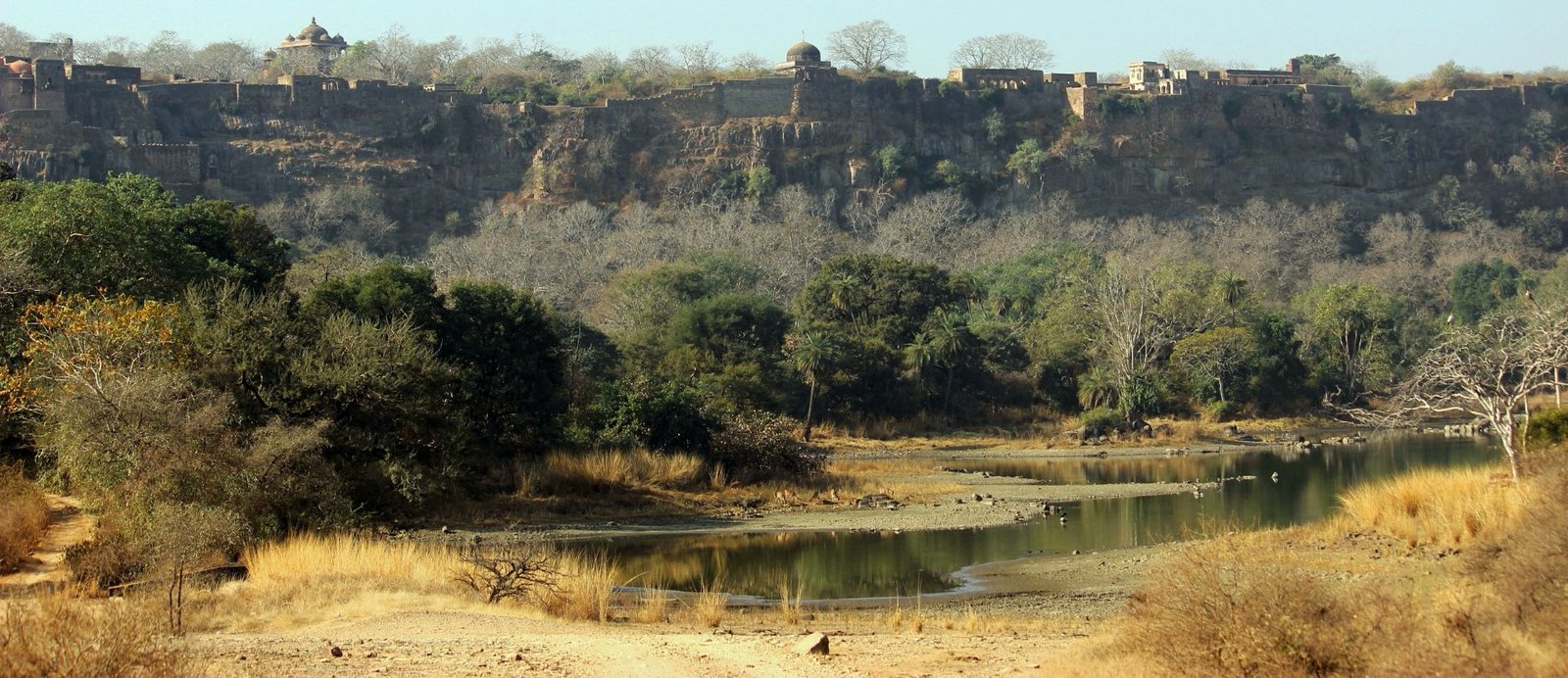 Ranthambore, Wildlife Tour