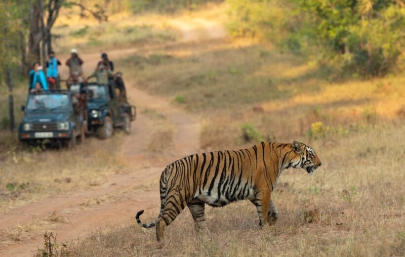 Tadoba Andhari Tiger Reserve