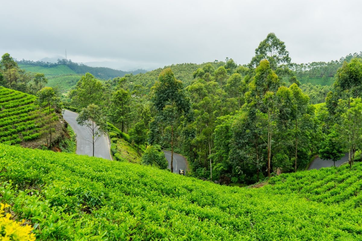 Kerala monsoon tour